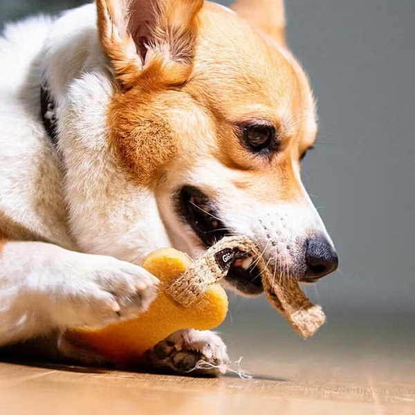 6039 Gum Gum Kurabiye Adam Köpek Oyuncağı