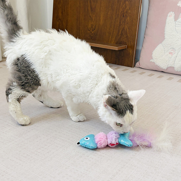7362 Catch&Scratch Balık Kedi Oyuncağı 
