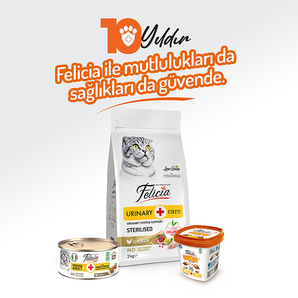 Felicia 85 Gr Hindili Ezme Kısırlaştırılmış Kedi Konserve Maması 24 Adet