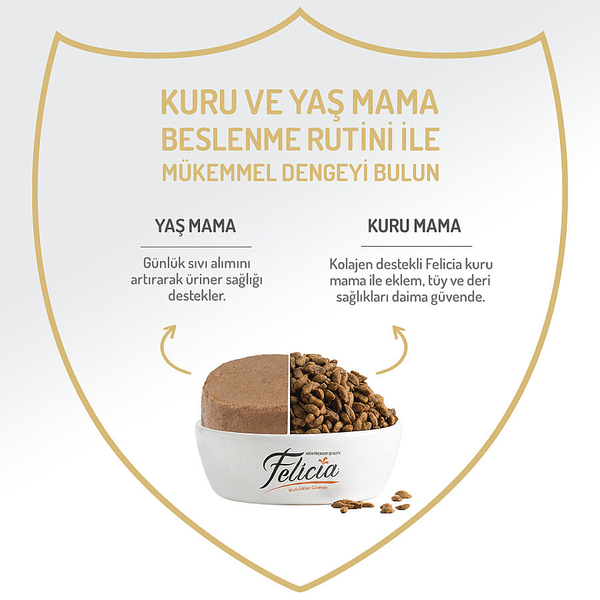 Felicia 85 gr Sığır Etli Ezme Yetişkin Kedi Konserve Maması 24 Adet