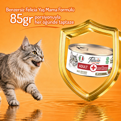 Felicia 85 gr Sığır Etli Ezme Yetişkin Kedi Konserve Maması 24 Adet - Thumbnail