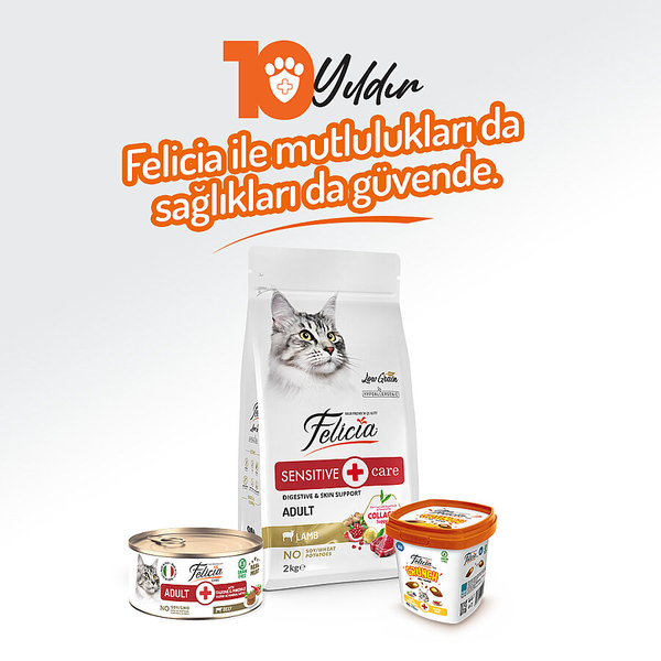 Felicia 85 gr Sığır Etli Ezme Yetişkin Kedi Konserve Maması 24 Adet