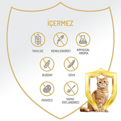 Felicia 85 gr Somonlu Ezme Kısırlaştırılmış Kedi Konserve Maması 24 Adet - Thumbnail