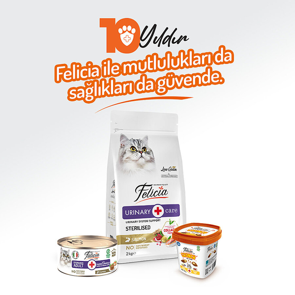 Felicia 85 gr Somonlu Ezme Kısırlaştırılmış Kedi Konserve Maması 24 Adet