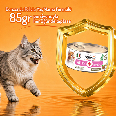 Felicia 85 gr Tavuklu Püre Yavru Kedi Konserve Maması 24 Adet - Thumbnail