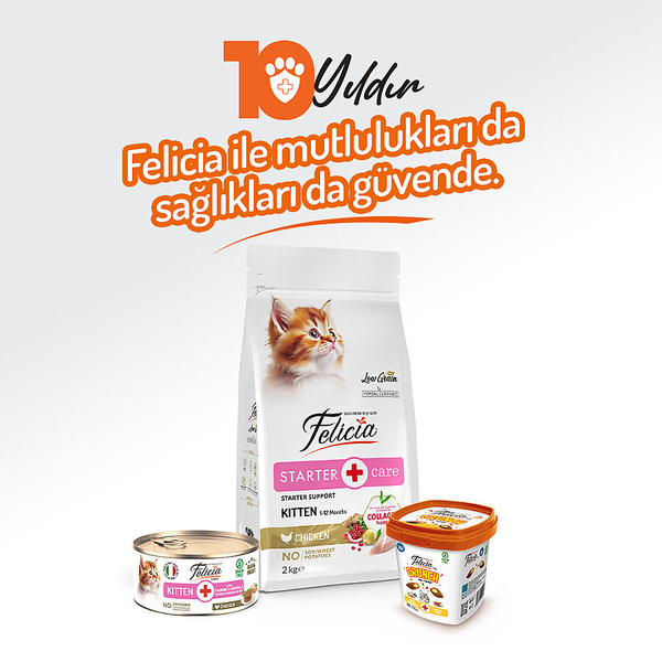Felicia 85 gr Tavuklu Püre Yavru Kedi Konserve Maması 24 Adet