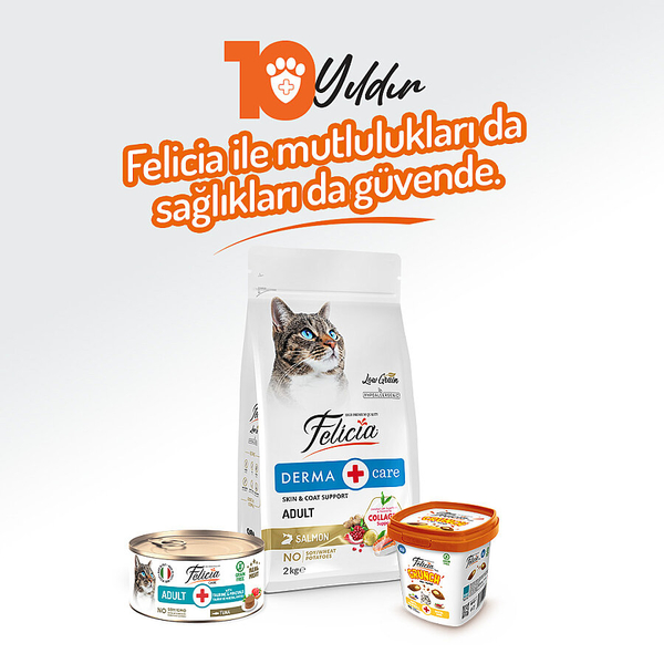 Felicia 85 gr Ton Balıklı Ezme Yetişkin Kedi Konserve Maması 24 Adet