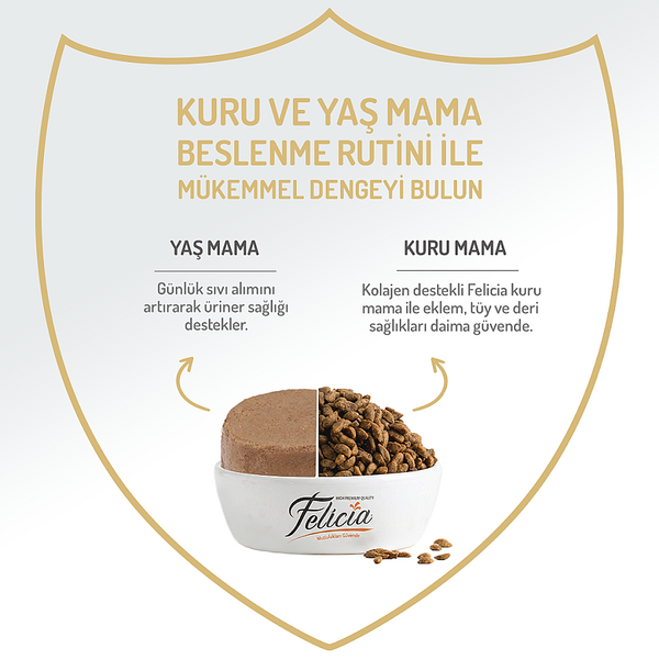 Felicia Kısır Tahılsız Somonlu Kedi Konserve 400g - 12 Adet