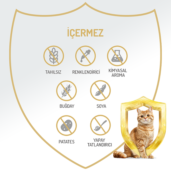 Felicia Kısır Tahılsız Somonlu Kedi Konserve 400g - 12 Adet