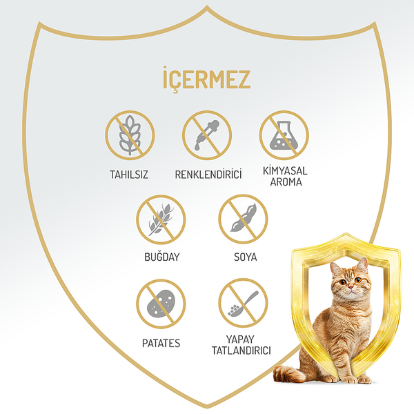 Felicia Yetişkin Tahılsız Biftekli Kedi Konserve 400g - 12 Adet