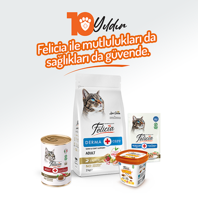 Felicia Yetişkin Tahılsız Biftekli Kedi Konserve 400g - 12 Adet - Thumbnail