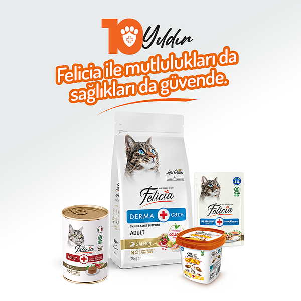 Felicia Yetişkin Tahılsız Biftekli Kedi Konserve 400g - 12 Adet