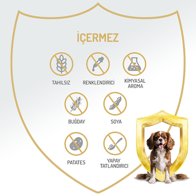 Felicia Yetişkin Tahılsız Biftekli Köpek Konserve 400g - 12 Adet - Thumbnail