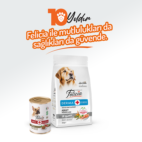Felicia Yetişkin Tahılsız Biftekli Köpek Konserve 400g - 12 Adet