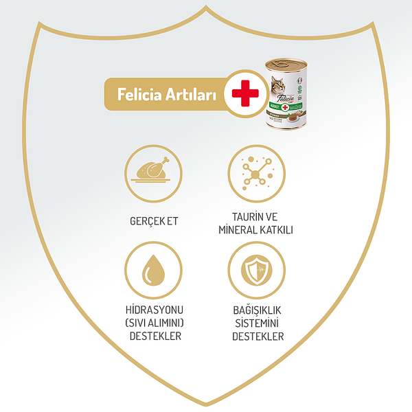 Felicia Yetişkin Tahılsız Tavuklu Kedi Konserve 400g - 12 Adet