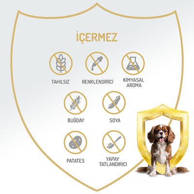 Felicia Yetişkin Tahılsız Tavuklu Köpek Konserve 400g - 12 Adet - Thumbnail