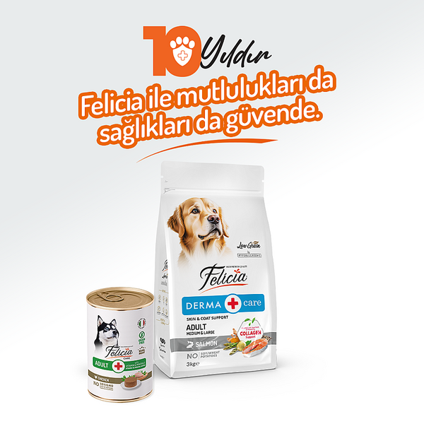 Felicia Yetişkin Tahılsız Tavuklu Köpek Konserve 400g - 12 Adet