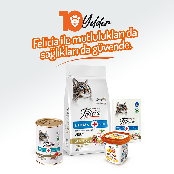 Felicia Yetişkin Tahılsız Ton Balıklı Kedi Konserve 400g - 12 Adet