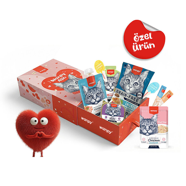 Wanpy Kalp Temalı Kutu Seti Kedi_1 Kutu