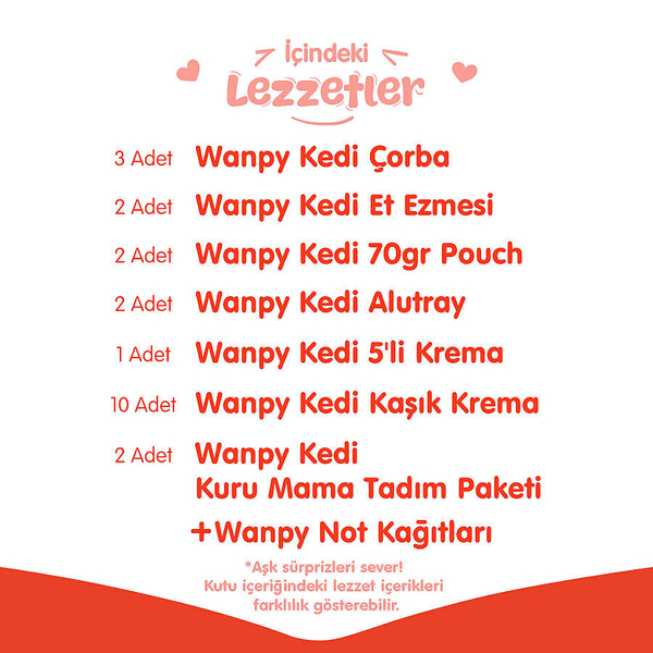 Wanpy Kalp Temalı Kutu Seti Kedi_1 Kutu