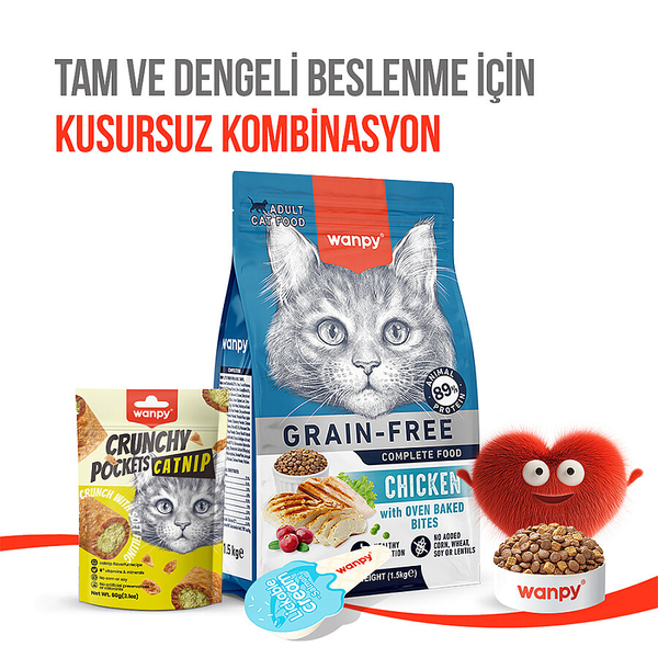 Wanpy Kedi Crunch Ödül Catnipli & Tavuklu 60g - 10'lu