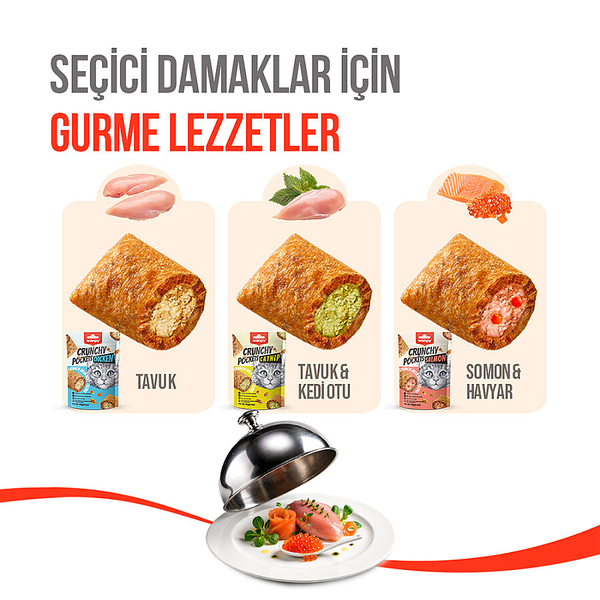 Wanpy Kedi Crunch Ödül Tavuk 60g - 10'lu