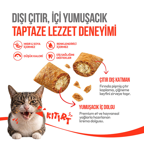 Wanpy Kedi Crunch Ödül Tavuk 60g - 10'lu