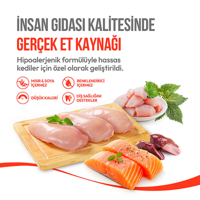 Wanpy Kedi Crunch Ödül Tavuk 60g - 10'lu - Thumbnail