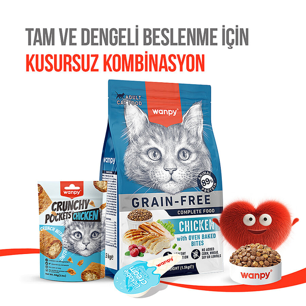 Wanpy Kedi Crunch Ödül Tavuk 60g - 10'lu