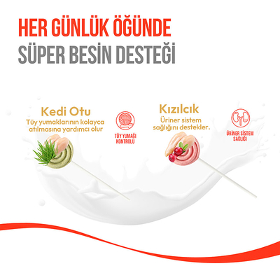 Wanpy Kediler İçin Dondurularak Kurutulmuş Lolipop - Kedi Otu - 1.4 g*10'lu - Thumbnail