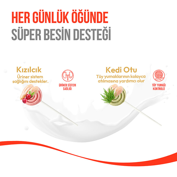 Wanpy Kediler İçin Dondurularak Kurutulmuş Lolipop - Kızılcık - 1.4 g*10'lu