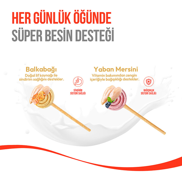 Wanpy Köpekler İçin Dondurularak Kurutulmuş Lolipop - Balkabaklı - 6 g*10'lu