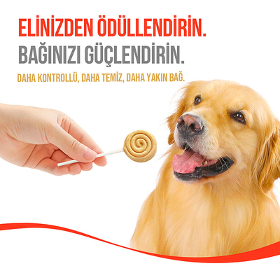 Wanpy Köpekler İçin Dondurularak Kurutulmuş Lolipop - Balkabaklı - 6 g*10'lu - Thumbnail
