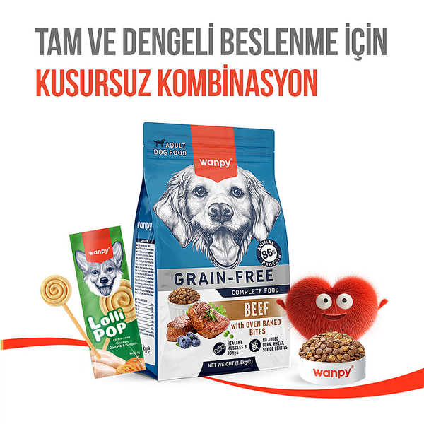 Wanpy Köpekler İçin Dondurularak Kurutulmuş Lolipop - Balkabaklı - 6 g*10'lu