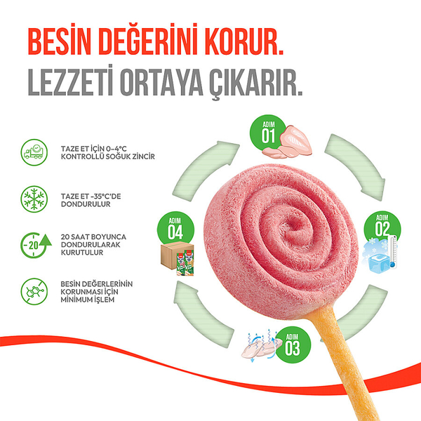 Wanpy Köpekler İçin Dondurularak Kurutulmuş Lolipop - Yaban Mersinli - 6 g*10'lu