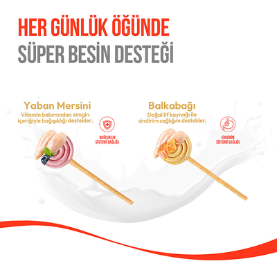 Wanpy Köpekler İçin Dondurularak Kurutulmuş Lolipop - Yaban Mersinli - 6 g*10'lu - Thumbnail