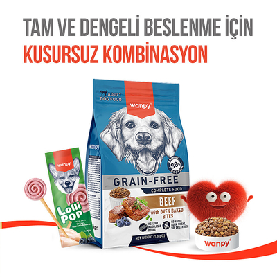 Wanpy Köpekler İçin Dondurularak Kurutulmuş Lolipop - Yaban Mersinli - 6 g*10'lu - Thumbnail