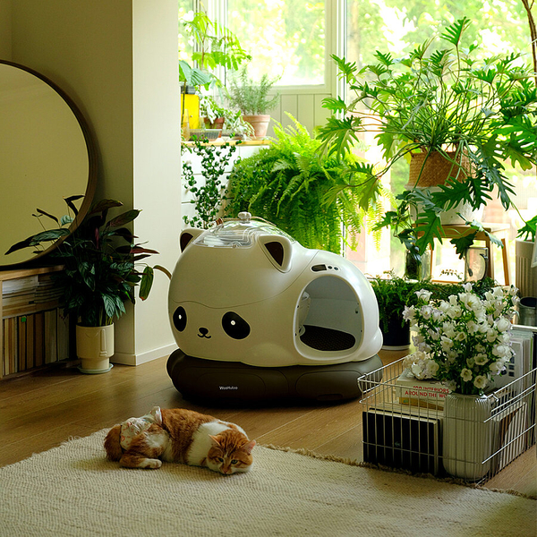 WooHuloo Pro Otomatik Kedi Tuvaleti Panda
