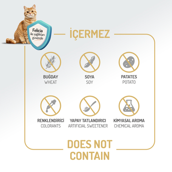 Felicia 12 Kg Kolajenli Somonlu Az Tahıllı Yetişkin Kedi Maması HypoAllergenic Kedi Maması