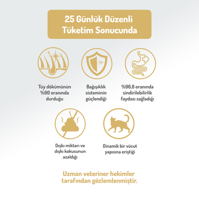 Felicia 12 Kg Kolajenli Tavuklu Az Tahıllı Yavru Kedi Maması HypoAllergenic Kedi Maması - Thumbnail