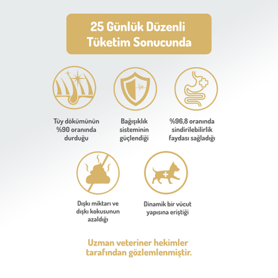 Felicia 15 Kg Kolajenli Somonlu Az Tahıllı M/Large Yetişkin Köpek Maması Breed HypoAllergenic Köpek Maması - Thumbnail