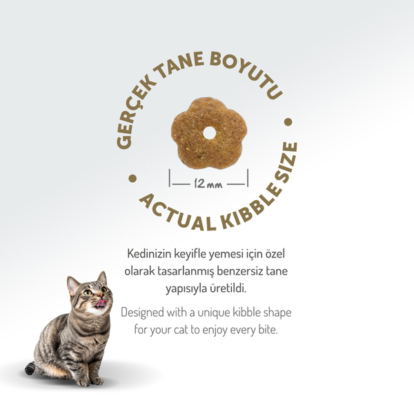 Felicia 2 Kg Kolajenli Tavuklu Az Tahıllı Yetişkin Kedi Maması HypoAllergenic Kedi Maması