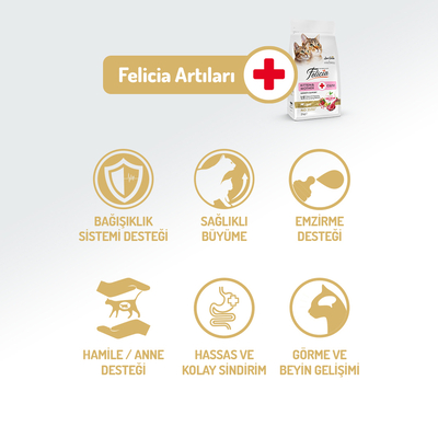 Felicia 2 Kg Kolajenli Kuzulu Az Tahıllı Yavru Kedi Maması HypoAllergenic Kedi Maması - Thumbnail