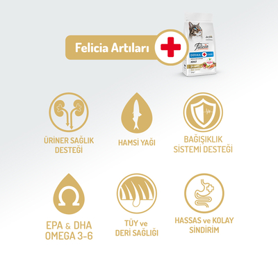 Felicia 2 Kg Kolajenli Somonlu Az Tahıllı Yetişkin Kedi Maması HypoAllergenic Kedi Maması - Thumbnail