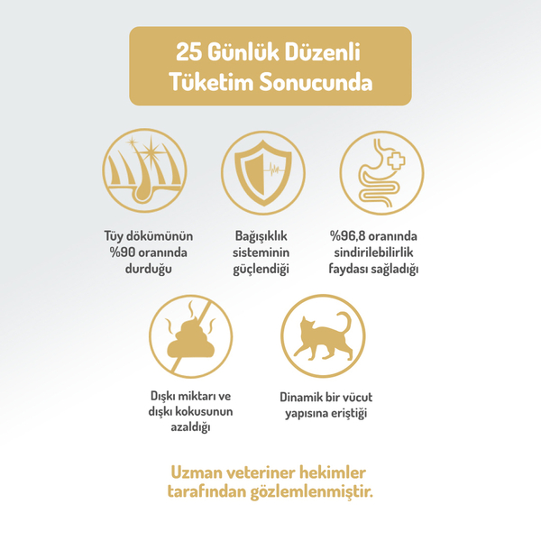 Felicia 2 Kg Kolajenli Somonlu Az Tahıllı Yetişkin Kedi Maması HypoAllergenic Kedi Maması