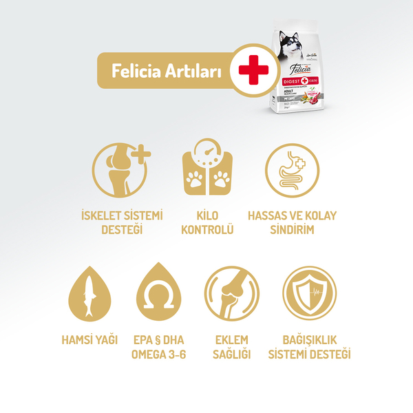 Felicia 3 Kg Kolajenli Kuzulu Az Tahıllı M/Large Yetişkin Köpek Maması Breed HypoAllergenic Köpek Maması