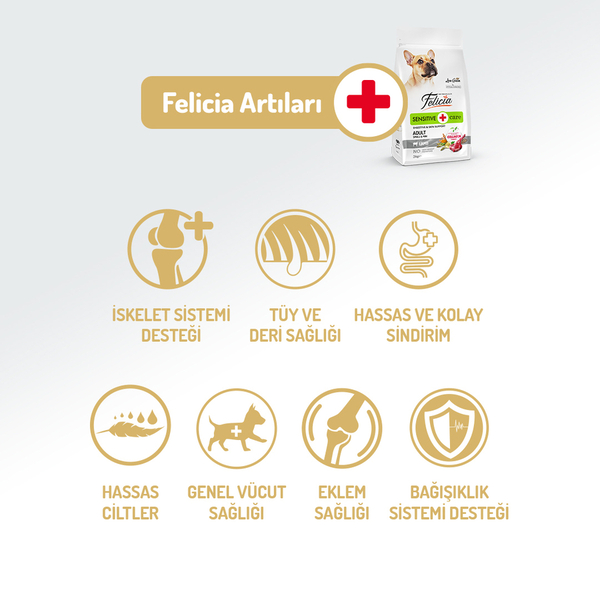 Felicia 3 Kg Kolajenli Kuzulu Az Tahıllı Small/Mini Yetişkin Köpek Maması HypoAllergenic Köpek Maması