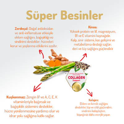 Felicia 3 Kg Kolajenli Kuzulu Az Tahıllı Small/Mini Yetişkin Köpek Maması HypoAllergenic Köpek Maması - Thumbnail