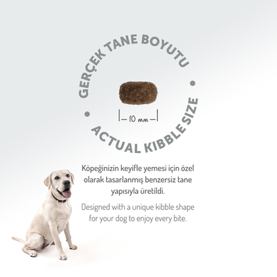 Felicia 3 Kg Kolajenli Kuzulu Az Tahıllı Small/Mini Yetişkin Köpek Maması HypoAllergenic Köpek Maması - Thumbnail