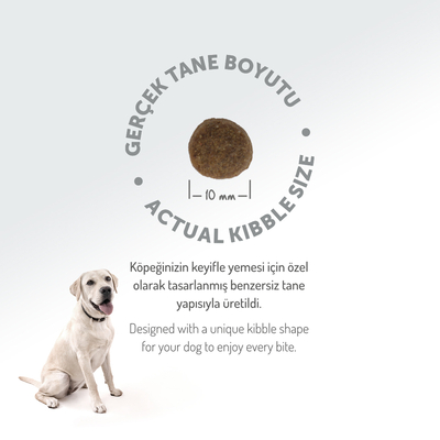 Felicia 3 Kg Kolajenli Somonlu Az Tahıllı Small/Mini Yetişkin Köpek Maması /Mini HypoAllergenic Köpek Maması - Thumbnail